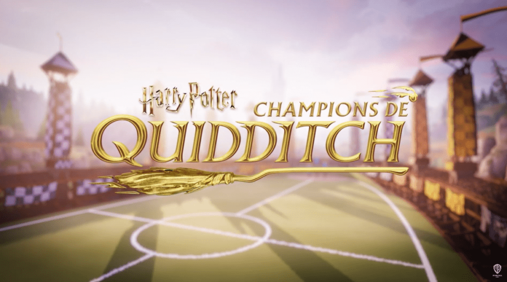 Harry Potter : Champions de Quidditch