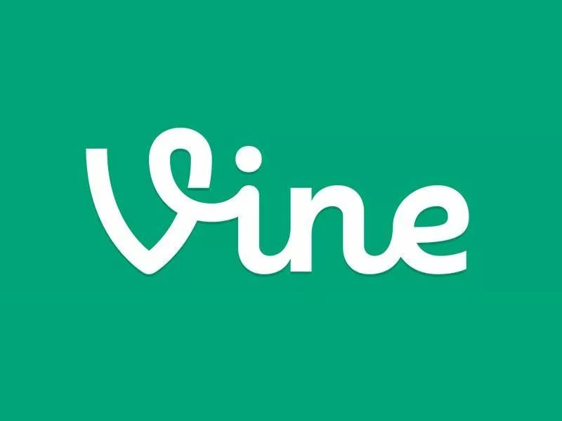 Vine